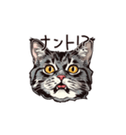 営業の猫本さん（個別スタンプ：20）