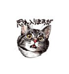 営業の猫本さん（個別スタンプ：27）