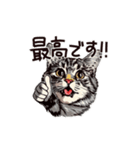 営業の猫本さん（個別スタンプ：32）