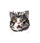 営業の猫本さん（個別スタンプ：33）