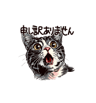 営業の猫本さん（個別スタンプ：36）