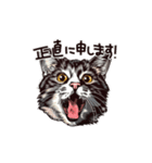営業の猫本さん（個別スタンプ：37）