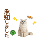 敬語のサイベリアンスタンプ（個別スタンプ：8）