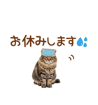 敬語のサイベリアンスタンプ（個別スタンプ：28）