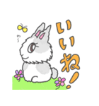 ジャージーウーリーうさぎのティア（個別スタンプ：4）