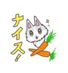 ジャージーウーリーうさぎのティア（個別スタンプ：12）
