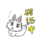 ジャージーウーリーうさぎのティア（個別スタンプ：20）