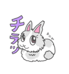 ジャージーウーリーうさぎのティア（個別スタンプ：21）