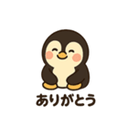 まんまるほっぺのペンギンスタンプ（個別スタンプ：31）