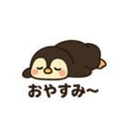 まんまるほっぺのペンギンスタンプ（個別スタンプ：36）