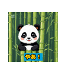 ほっこりパンダの日常！！！（個別スタンプ：1）