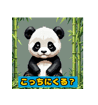 ほっこりパンダの日常！！！（個別スタンプ：11）