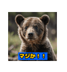 赤ちゃん熊の毎日表情スタンプ（個別スタンプ：5）