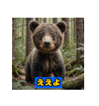 赤ちゃん熊の毎日表情スタンプ（個別スタンプ：9）