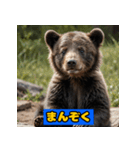 赤ちゃん熊の毎日表情スタンプ（個別スタンプ：24）