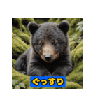 赤ちゃん熊の毎日表情スタンプ（個別スタンプ：33）