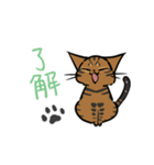 猫のあおいさん（ベンガル Ver.）（個別スタンプ：4）