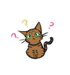 猫のあおいさん（ベンガル Ver.）（個別スタンプ：6）