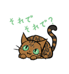 猫のあおいさん（ベンガル Ver.）（個別スタンプ：10）