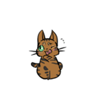 猫のあおいさん（ベンガル Ver.）（個別スタンプ：11）