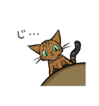 猫のあおいさん（ベンガル Ver.）（個別スタンプ：14）