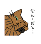 猫のあおいさん（ベンガル Ver.）（個別スタンプ：19）