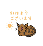 猫のあおいさん（ベンガル Ver.）（個別スタンプ：21）