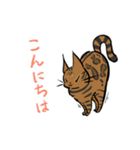 猫のあおいさん（ベンガル Ver.）（個別スタンプ：22）