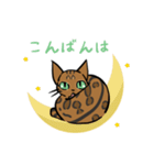猫のあおいさん（ベンガル Ver.）（個別スタンプ：23）