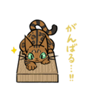 猫のあおいさん（ベンガル Ver.）（個別スタンプ：28）