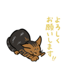 猫のあおいさん（ベンガル Ver.）（個別スタンプ：30）
