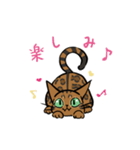 猫のあおいさん（ベンガル Ver.）（個別スタンプ：31）