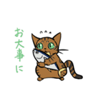 猫のあおいさん（ベンガル Ver.）（個別スタンプ：32）
