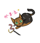 猫のあおいさん（ベンガル Ver.）（個別スタンプ：37）