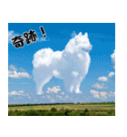 サモエド犬の夏休み（個別スタンプ：38）