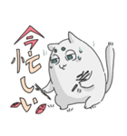 ねこのキャンプ2（個別スタンプ：6）