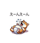 赤ちゃん太っちょ柴犬 おむつ履いてます（個別スタンプ：4）