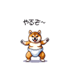 赤ちゃん太っちょ柴犬 おむつ履いてます（個別スタンプ：5）