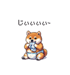 赤ちゃん太っちょ柴犬 おむつ履いてます（個別スタンプ：7）