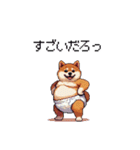 赤ちゃん太っちょ柴犬 おむつ履いてます（個別スタンプ：8）