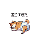 赤ちゃん太っちょ柴犬 おむつ履いてます（個別スタンプ：9）