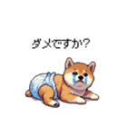赤ちゃん太っちょ柴犬 おむつ履いてます（個別スタンプ：12）