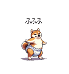 赤ちゃん太っちょ柴犬 おむつ履いてます（個別スタンプ：16）