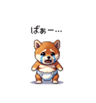 赤ちゃん太っちょ柴犬 おむつ履いてます（個別スタンプ：18）