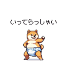 赤ちゃん太っちょ柴犬 おむつ履いてます（個別スタンプ：25）