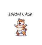 赤ちゃん太っちょ柴犬 おむつ履いてます（個別スタンプ：28）