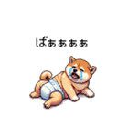 赤ちゃん太っちょ柴犬 おむつ履いてます（個別スタンプ：29）