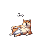 赤ちゃん太っちょ柴犬 おむつ履いてます（個別スタンプ：30）