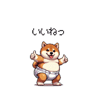赤ちゃん太っちょ柴犬 おむつ履いてます（個別スタンプ：31）