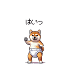 赤ちゃん太っちょ柴犬 おむつ履いてます（個別スタンプ：32）